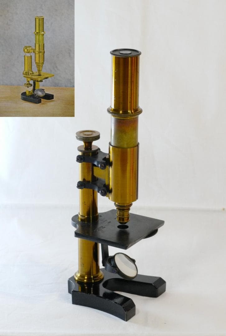 microscope antique collectible Ernst Leitz Stand V Microscope SN.1557 1873