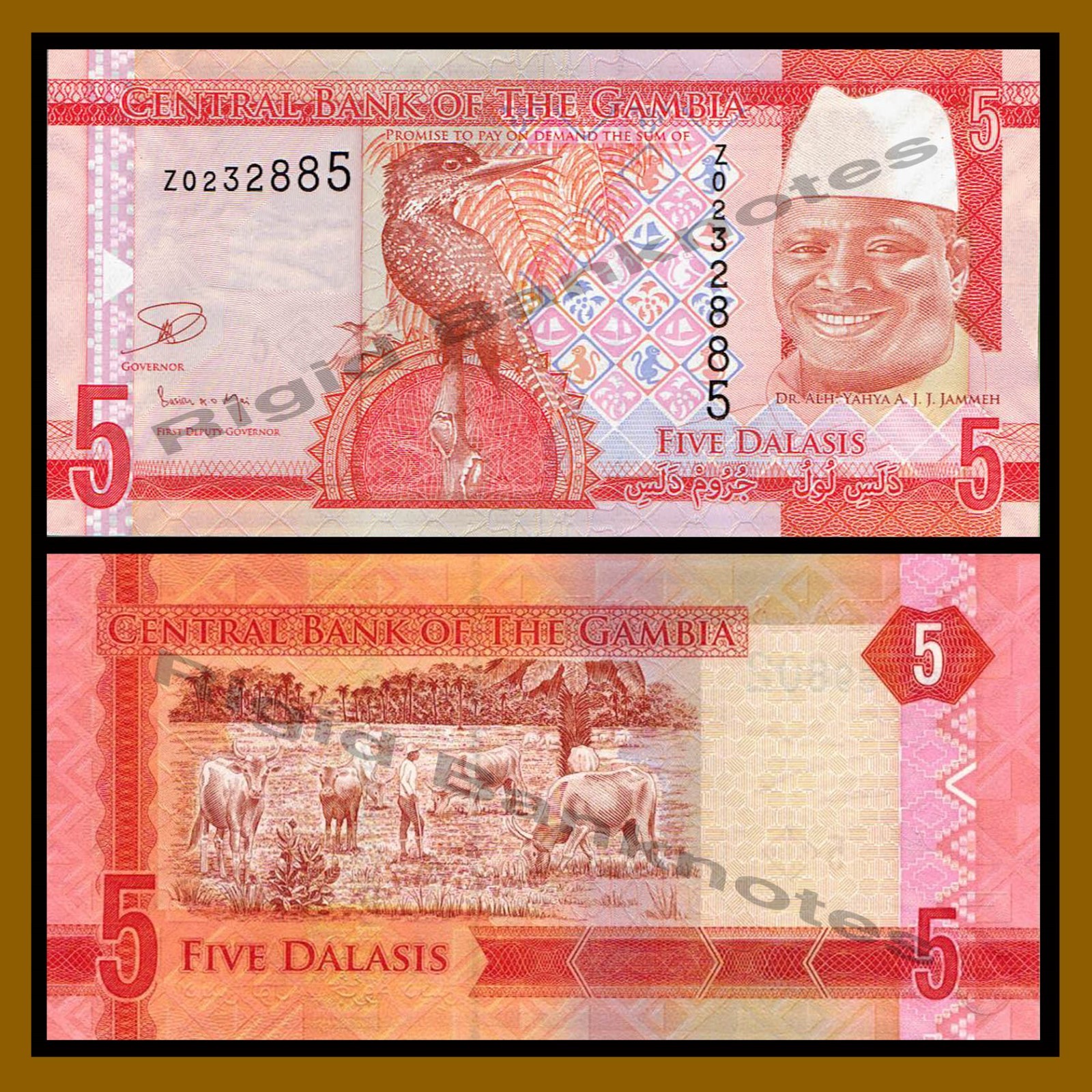 Gambia 5 Dalasis, 2015, P-31 REPLACEMENT Prefix Z Unc