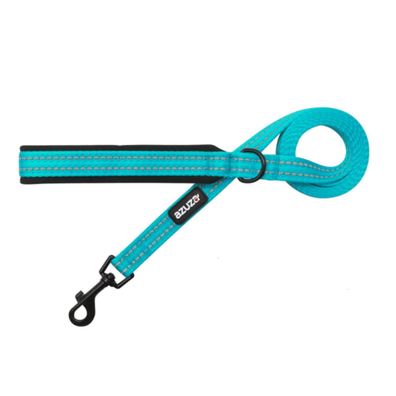 Blue Padded Dog Leash with Reflective Strip Extra Safe Comfy for Small Dogs