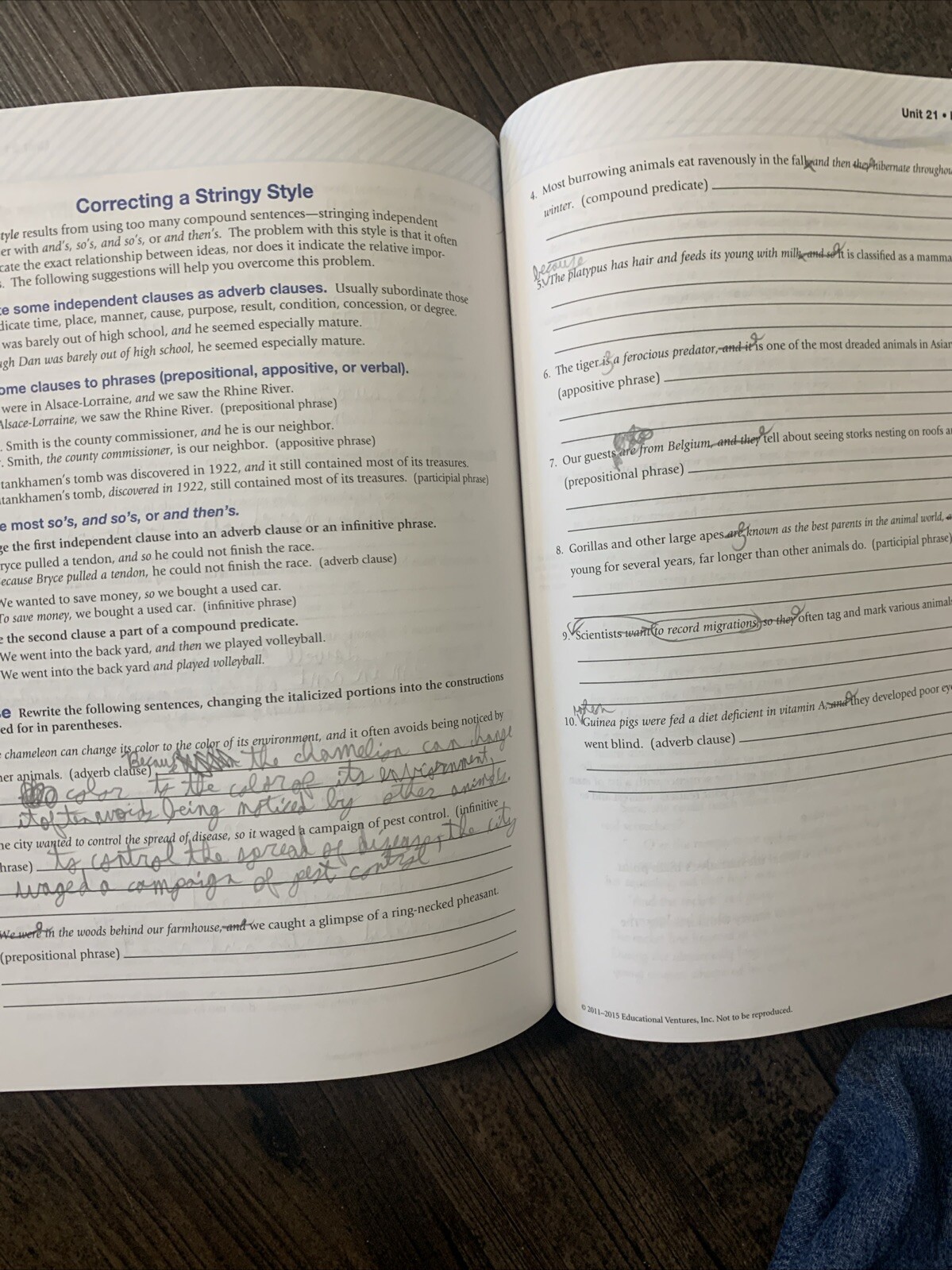 A Beka Grade 10 - Grammar & Composition IV Student Work-Text Fourth Edition