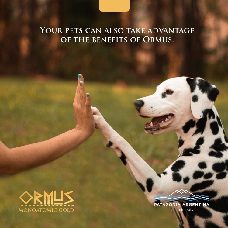 kIT SUPER FOOD⭐️ ORMUS+ZINC SUPPLEMENT+DETOX TABLETS-100%NATURAL W SEA MINERALS