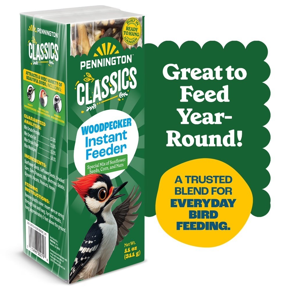 (2 pack) Classics Woodpecker Bar Instant Feeder 11 ounce