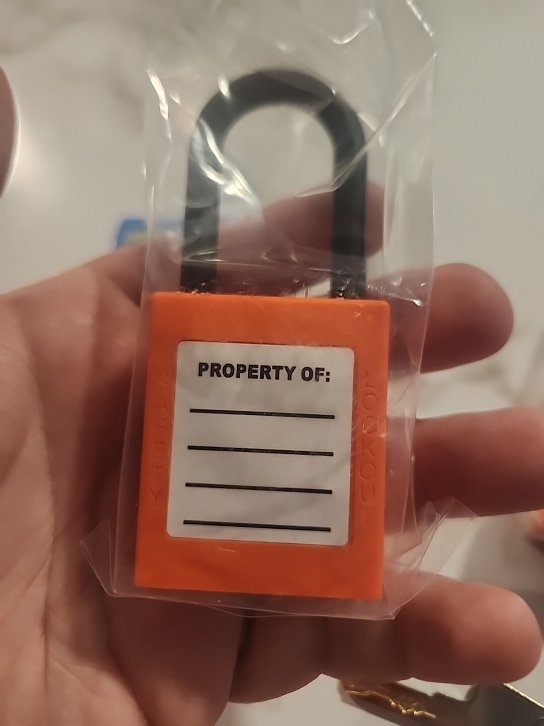 TWO-PACK 2X Lockout Tagout Safety Locks Padlock,1 Key Per Lock (2 Locks 2 Keys)