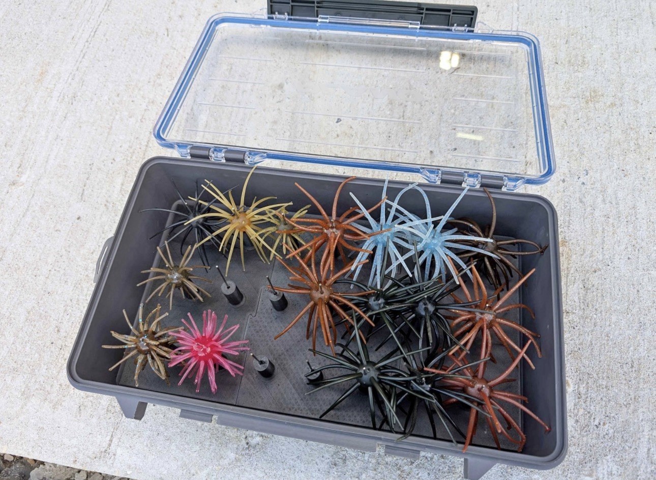Coike Urchin Bait Holder Insert
