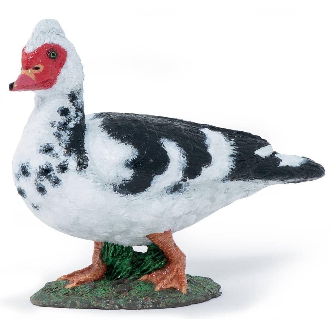Muscovy Duck Figurine - Hand Painted Farm Animal Toy Figure - New Papo 51189