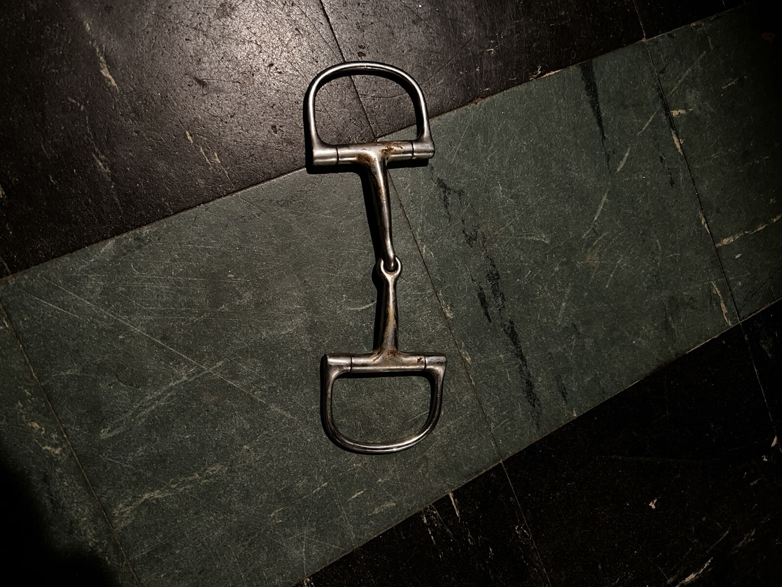 d ring snaffle bit
