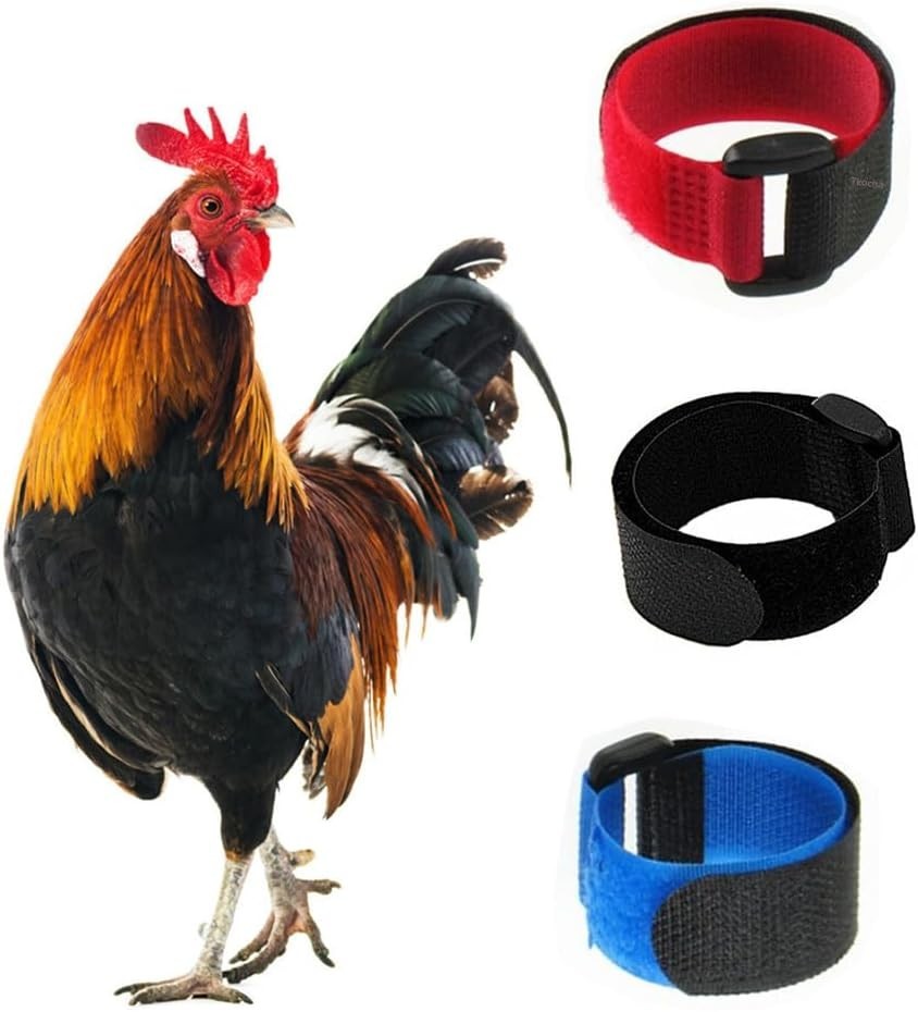 Safe & Adjustable No Crow Rooster Collars – 3 Pack for Chickens & Ducks