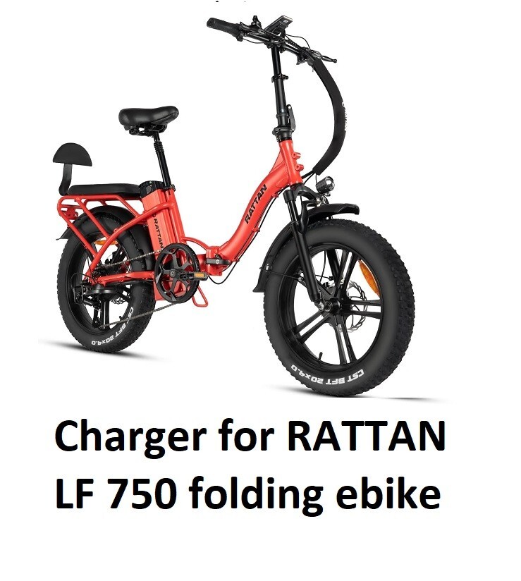🔥UL 3A fast Battery Charger for Rattan LM/LF750 Pro ebike Electric Bike🔥
