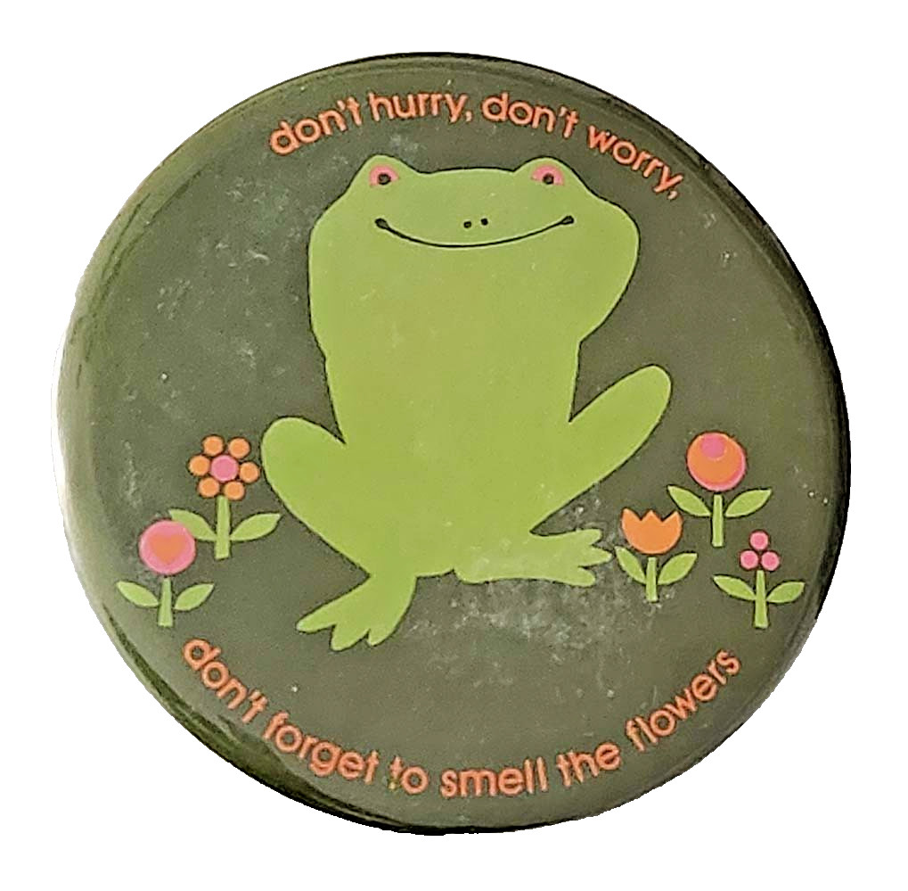 Hallmark BUTTON PIN Vtg 1973 FROG Love Dots Dont Hurry Worry Smell Flowers 6"