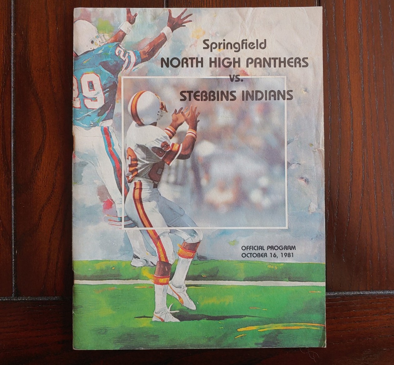 1981 Springfield North High School Panthers Stebbins Indians Football Program OH