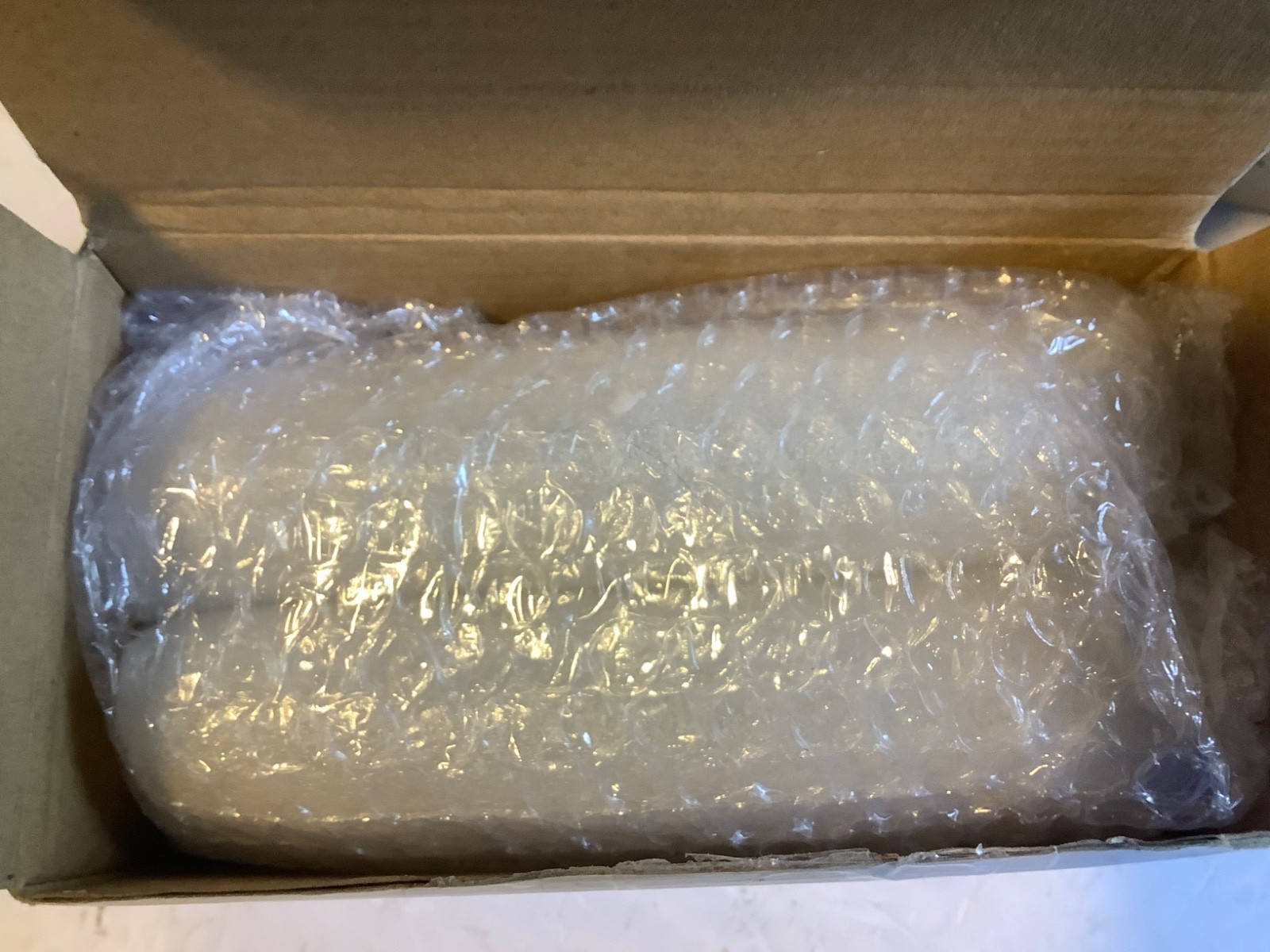 4 Pack Planaria Traps, Clear Glass