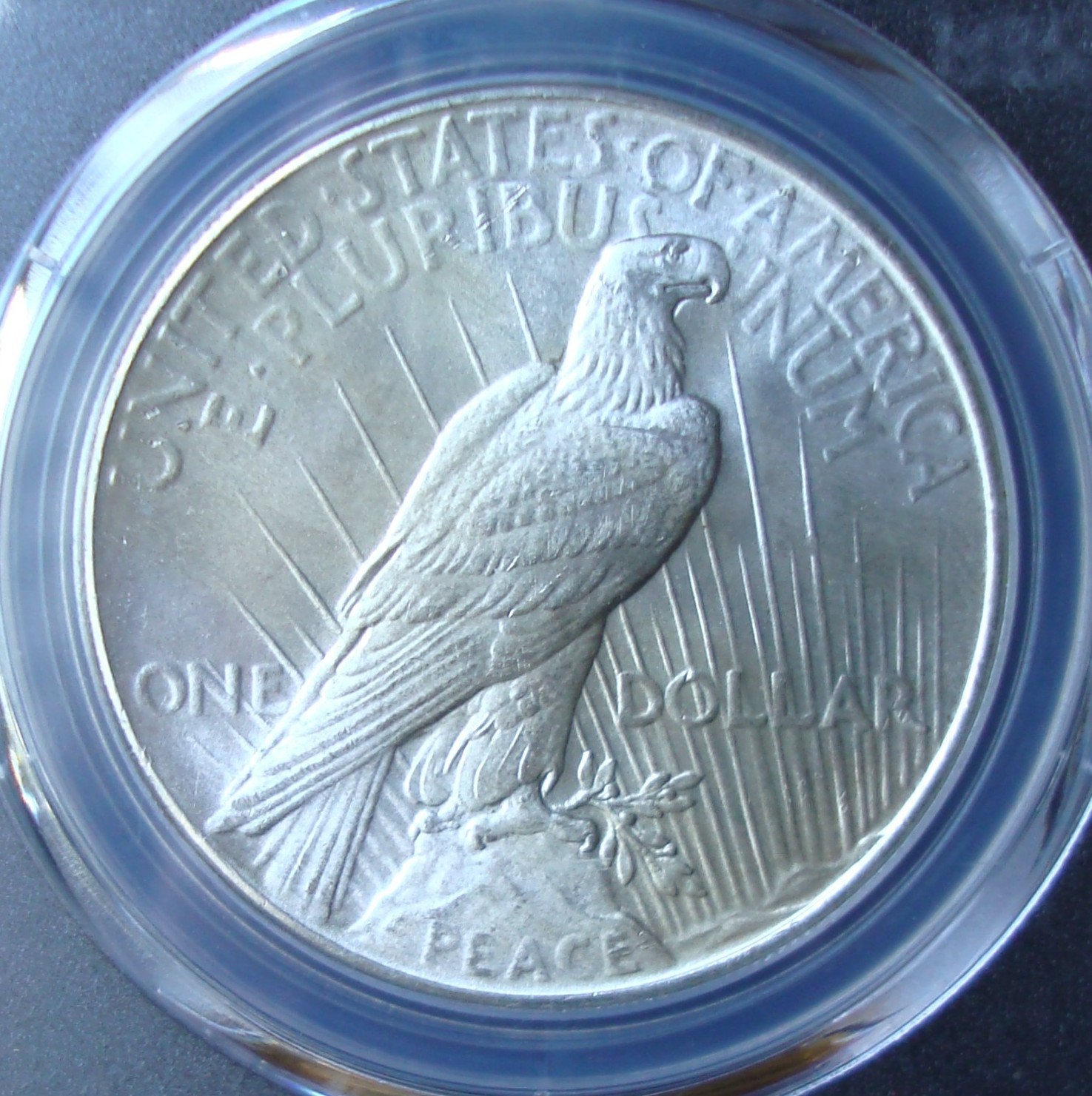 1926 Peace Silver Dollar - PCGS MS 66 - Gold Shield