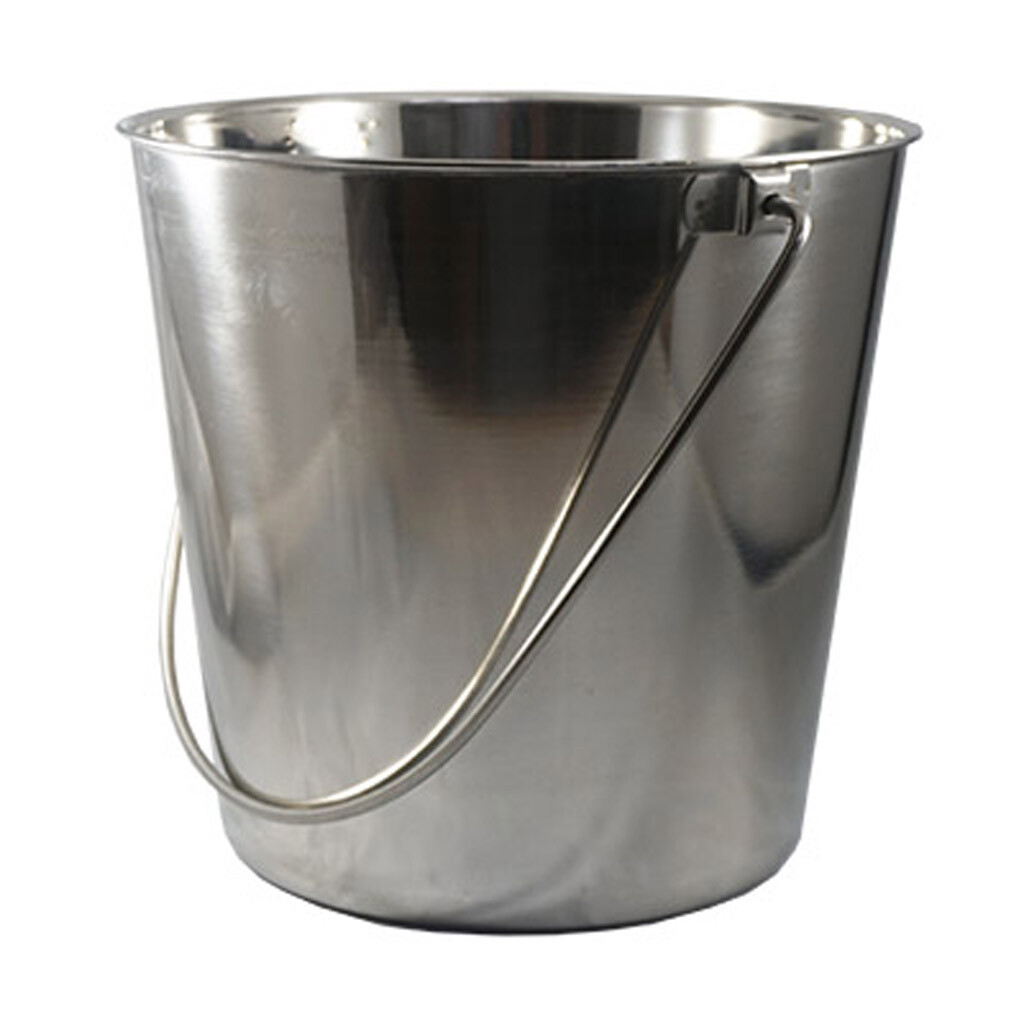 Stainless Steel Pail Bucket & Handle 9 Quart Veterinary Surgery Dental Milk Food