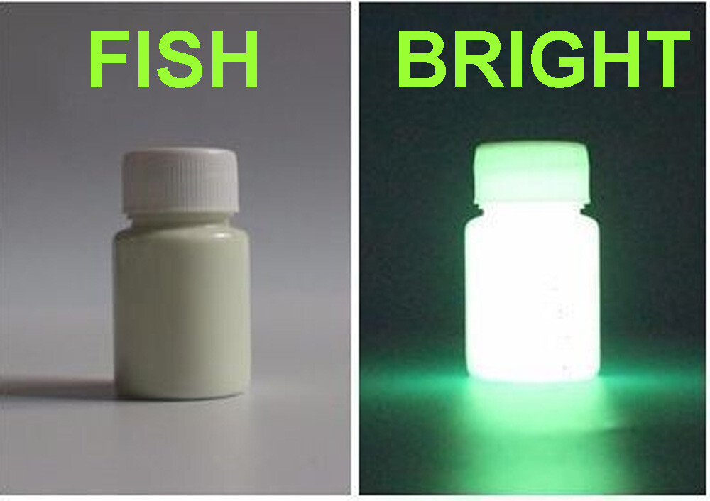 Glow in the Dark Fishing Lure Paint Bright Green Luminescent