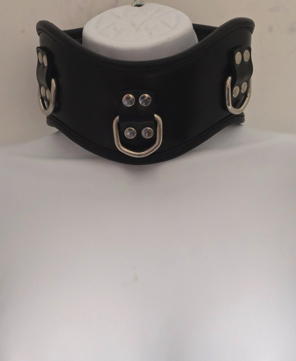 BLACK PADDED 3 Ring LEATHER POSTURE COLLAR (Adjustable/ Lockable) by Rouge