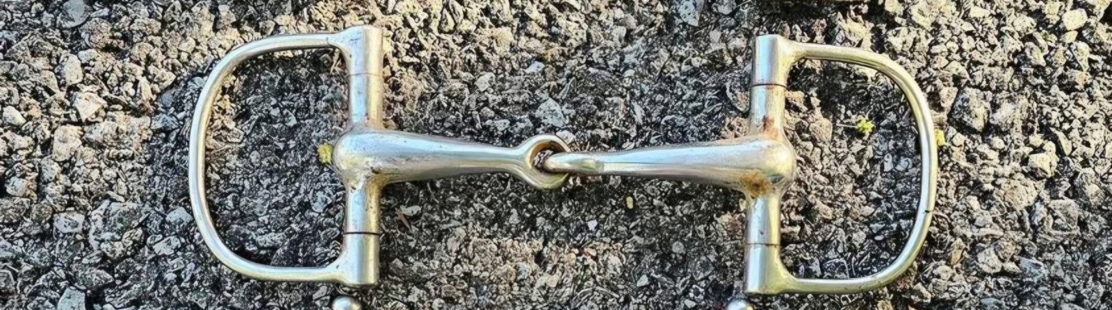 5 1/4" D-Ring Snaffle Bit
