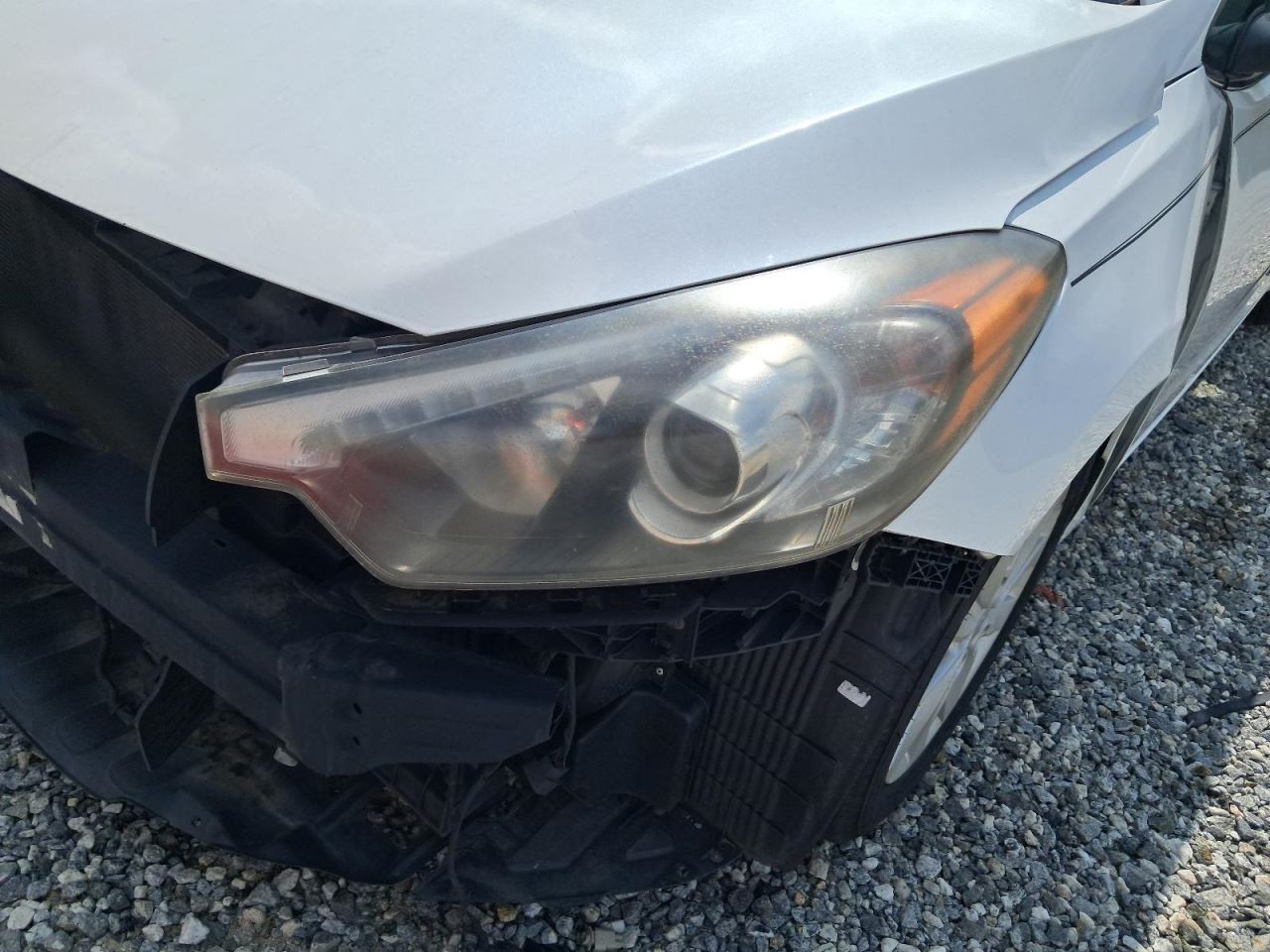 FORTE 2015 Glove Box 4796234