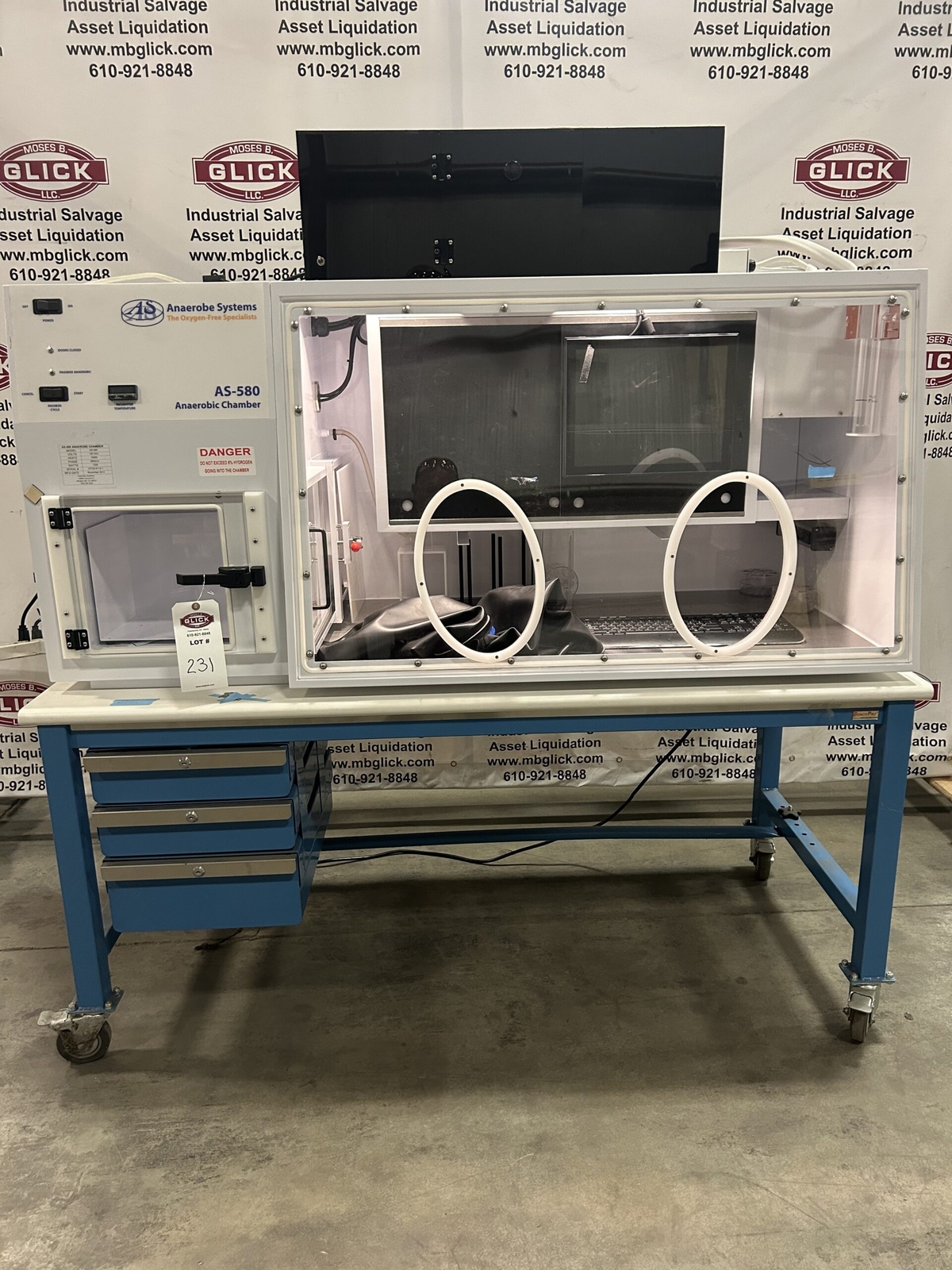 Anaerobe Systems AS-580 Anaerobic Glove Box Chamber Biosafety Cabinet