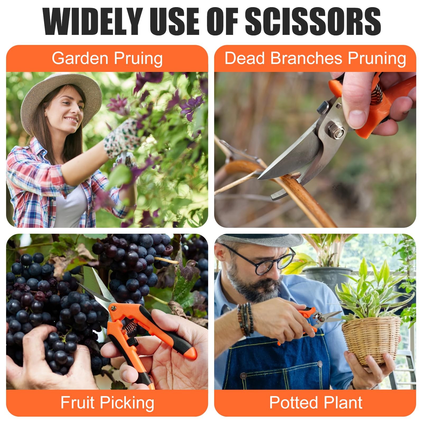 Garden Shears set 3 PCS Stainless Steel Pruning Scissors kit mixed