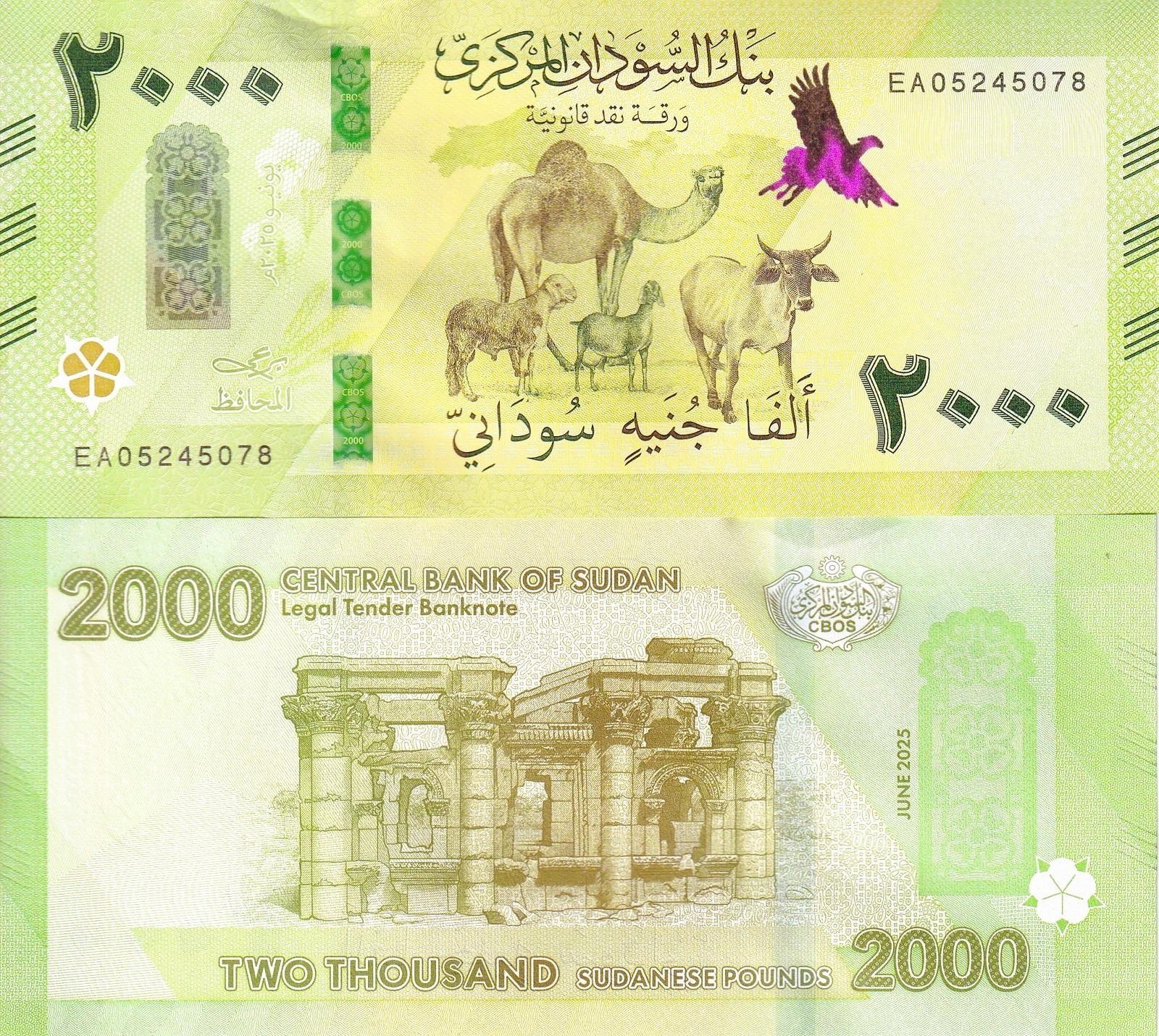 Sudan 2000 Pounds 2025 / 2026 P New Design CAMEL UNC Low Shipping