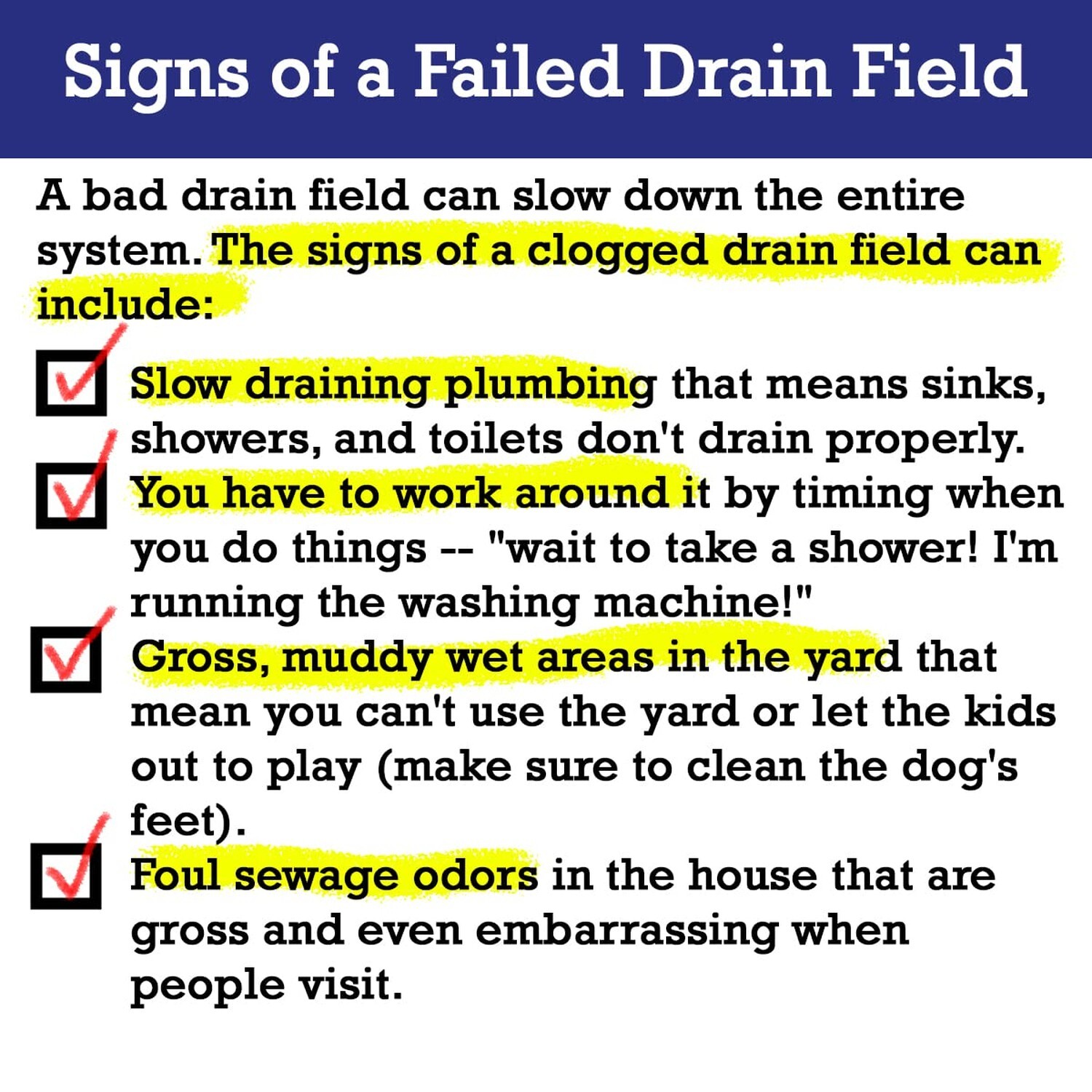Accelerator by Dr. Pooper Drain Field Cleaner - Clears Septic Tank PLUS the L...