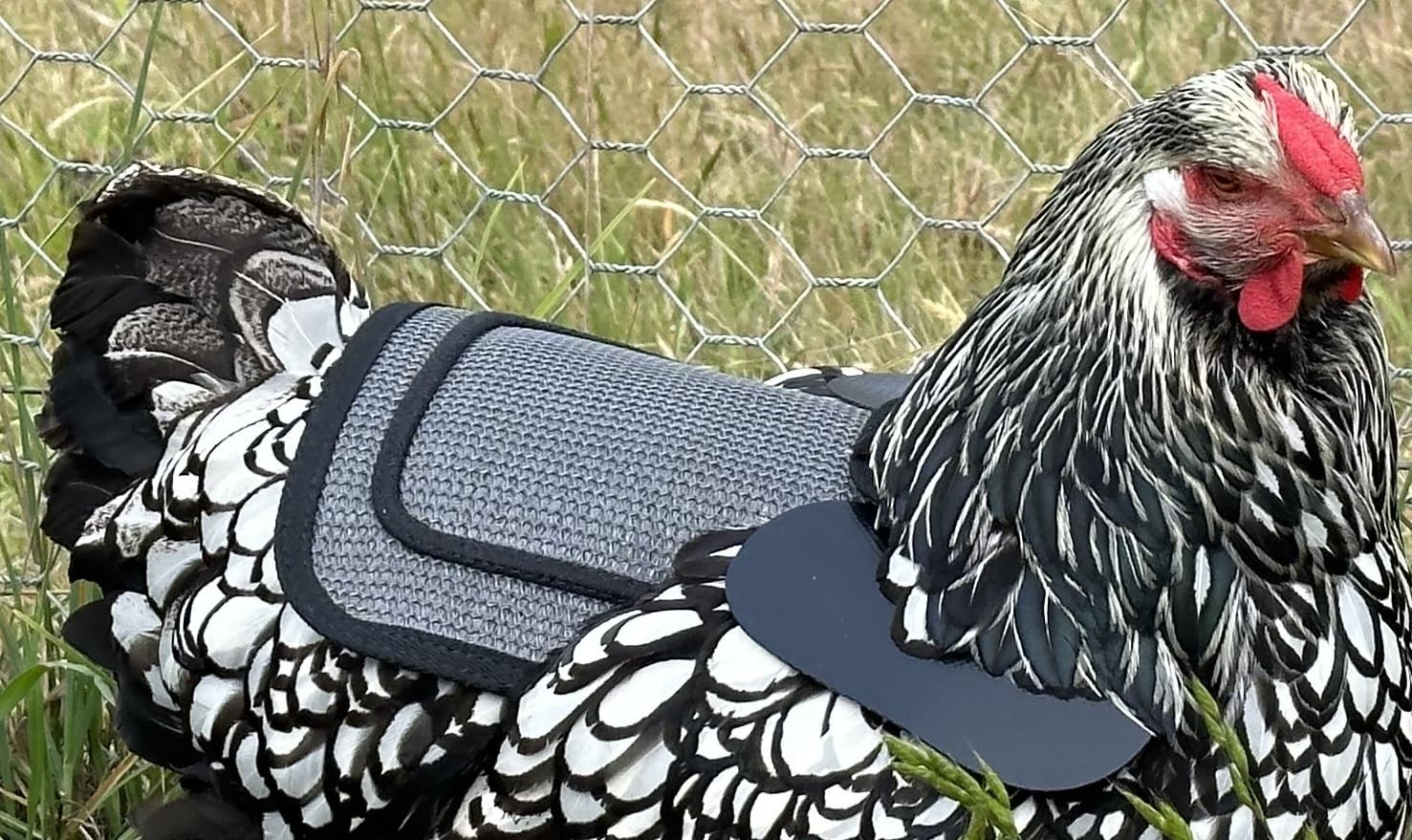 Chicken Saddle with Adjustable Straps, Poultry Protector, Sand Mesh