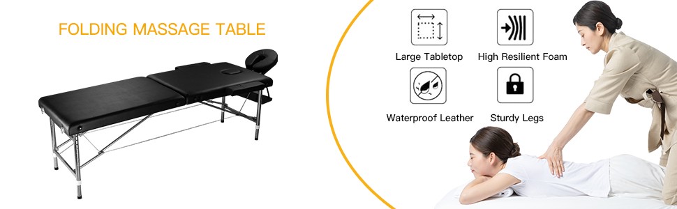84" Professional Metal Massage Table Adjustable Height, Portable With Carry Case