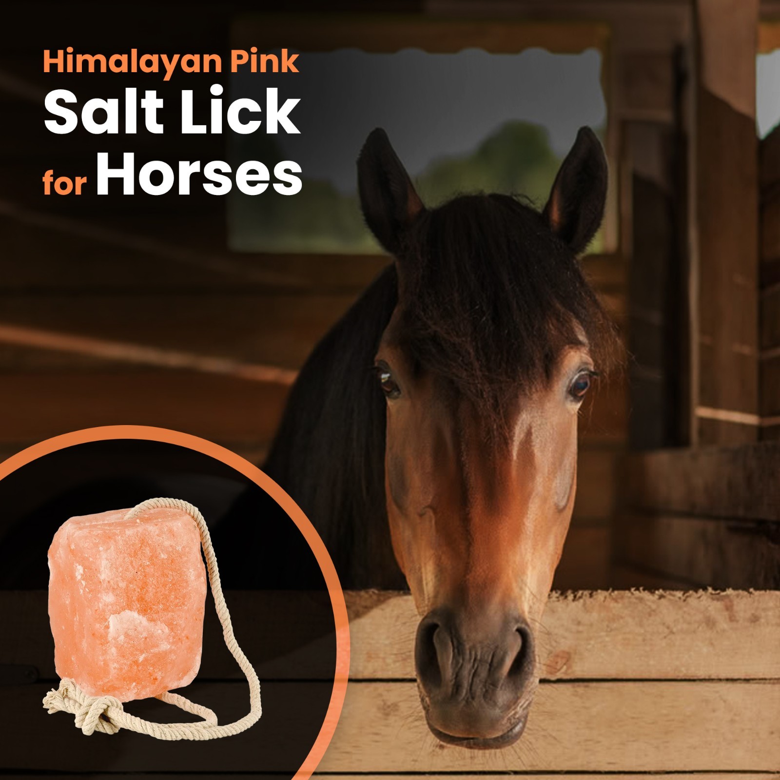 Horse Treats – Natural Himalayan Salt Lick Mineral Block for Horses (Pack of 12)