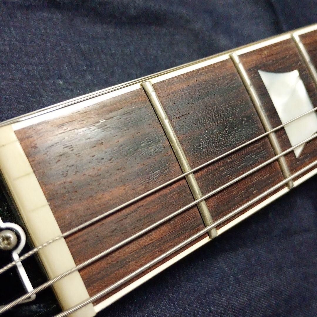Coolz ZSG-1 Fujigen Made 2013 Model