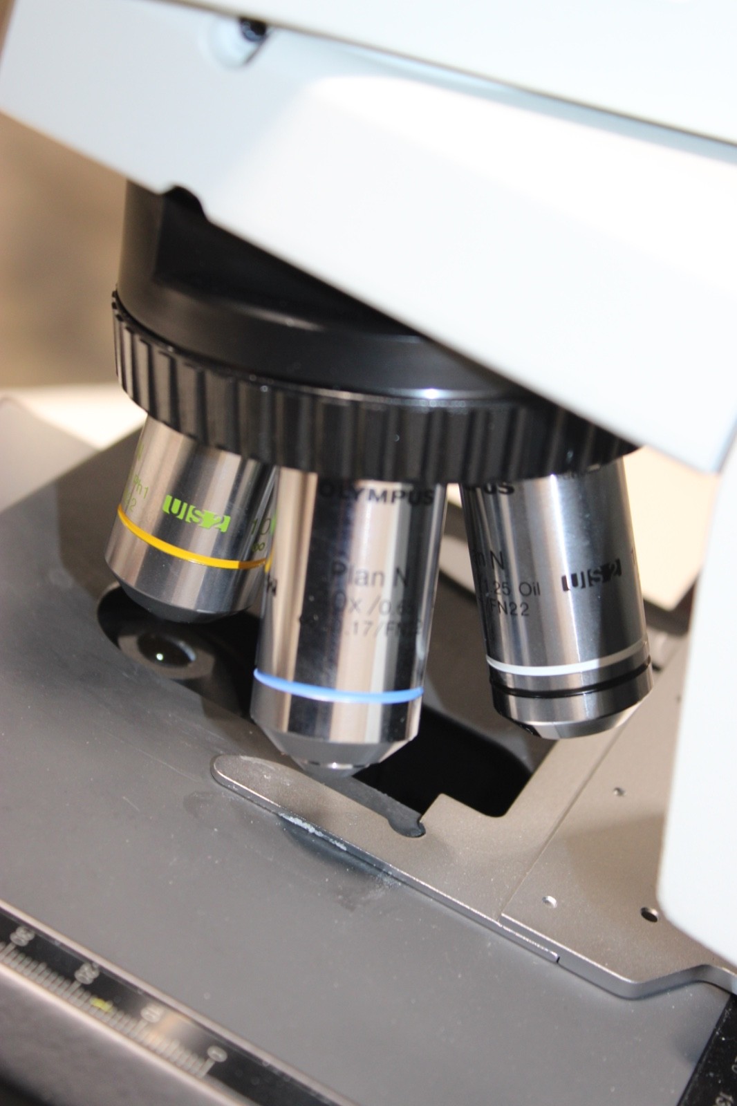 NICE Olympus BX41 Microscope with 4 Objectives