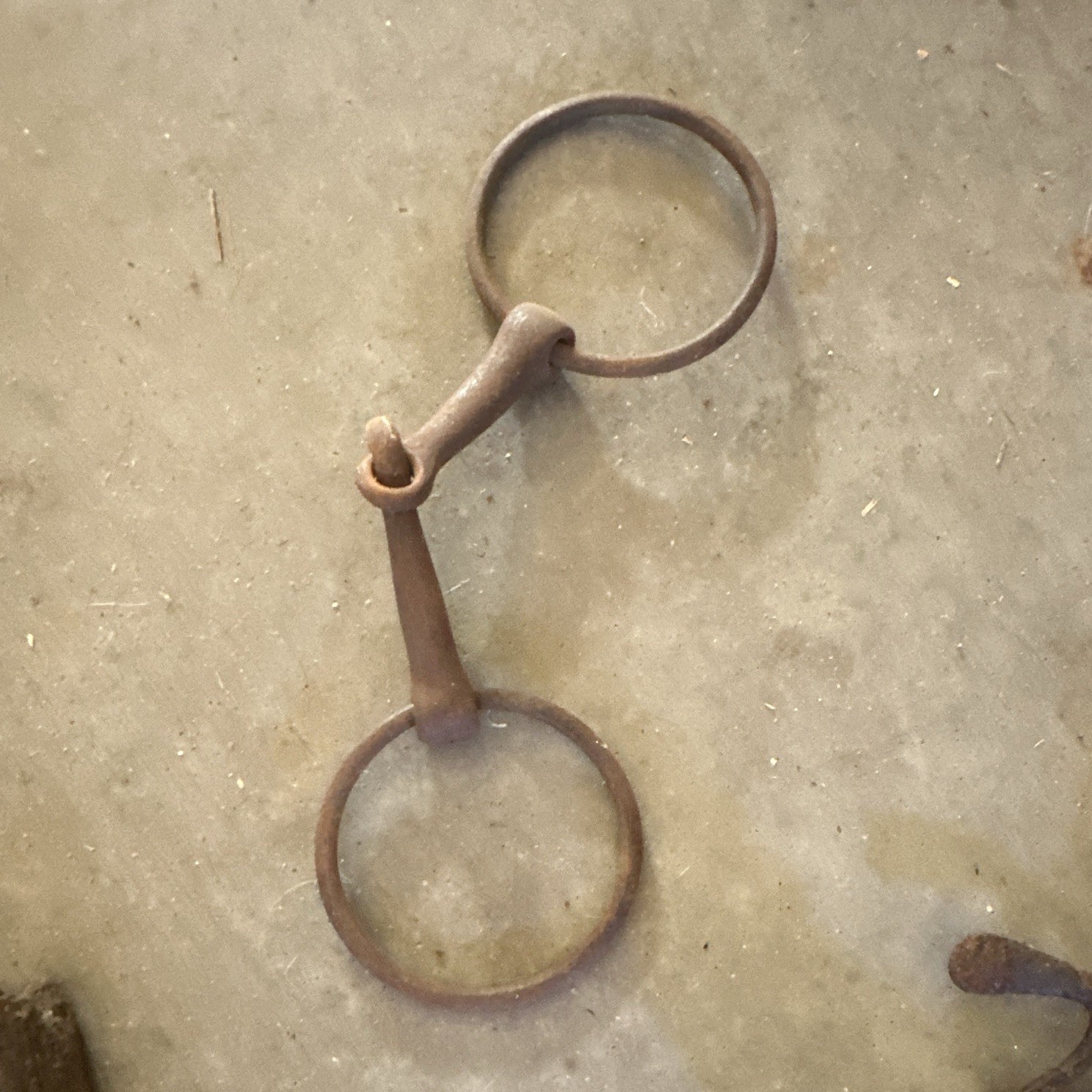 Metal Snaffle Horse Bit with Large Ring Cheeks, Large Rings