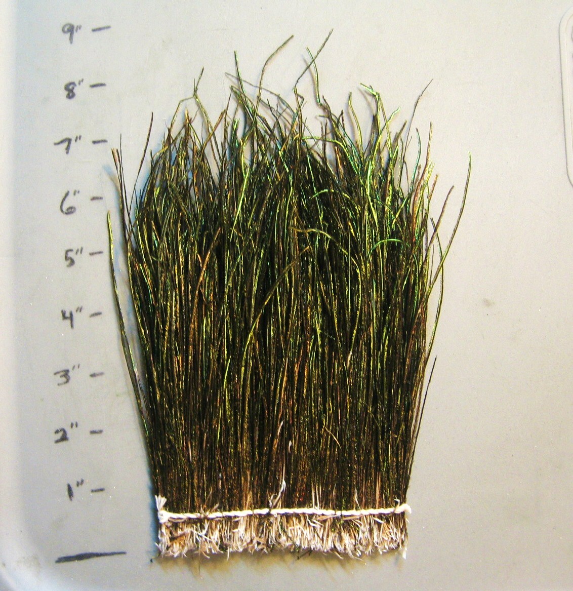 Peacock Herl-LARGE pack-4" wide, 5"-8" strung herl-LOTS OF HERL-COMBINE SHIP