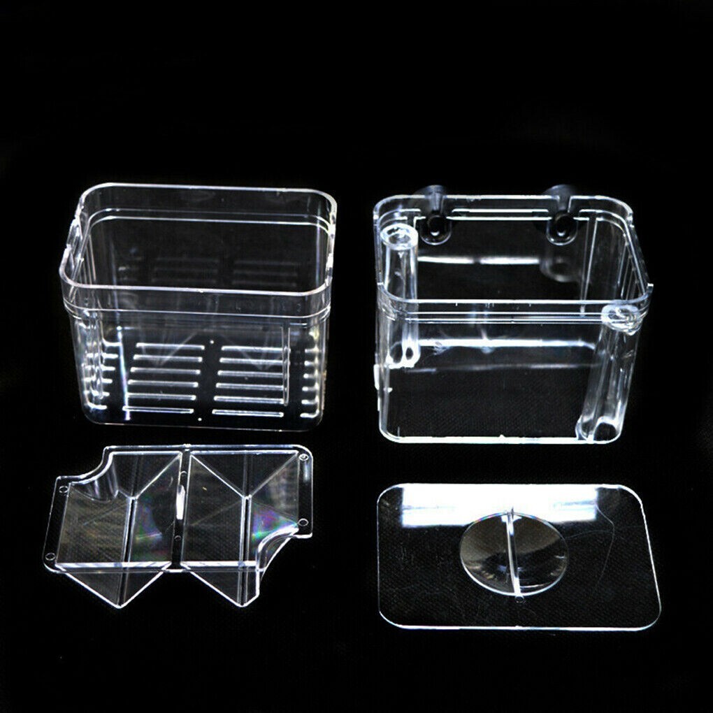 Aquarium Fish Tank Breeding Breeder Rearing Box Hatchery Isolation Case, Small