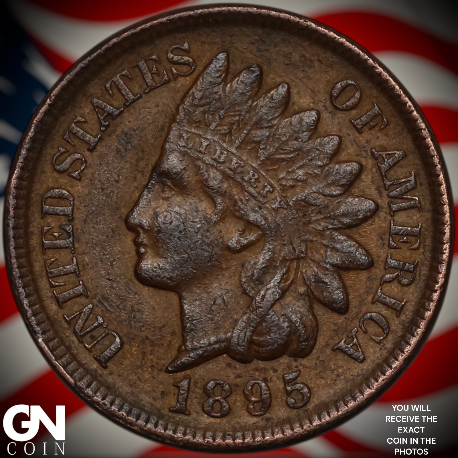 1895 Indian Head Cent Penny Z9401
