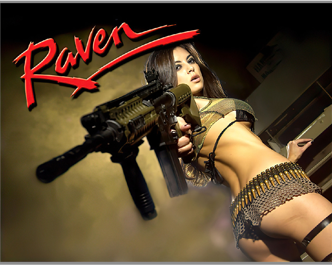 Gottlieb RAVEN Pinball Machine Translite  Awesome ARTWORK CUSTOM 01