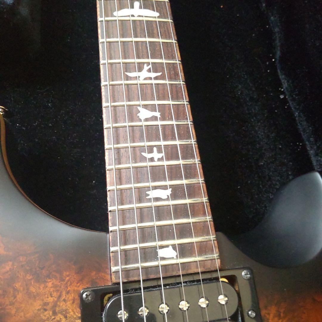 Prs Custom Se Electric Guitar Burst Finish