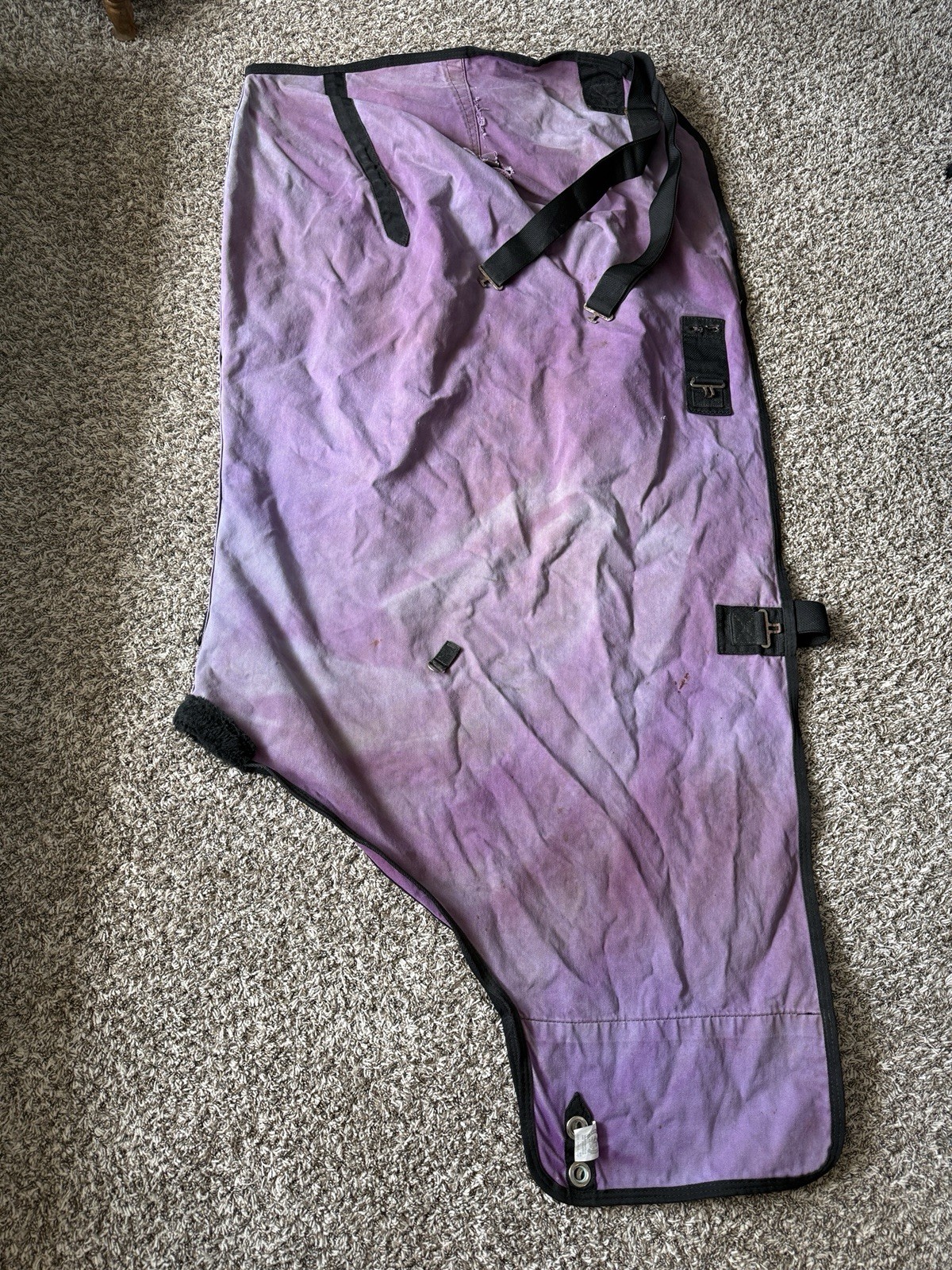 72” Custom Brand Purple Canvas Cotton Stable Sheet Horse Blanket