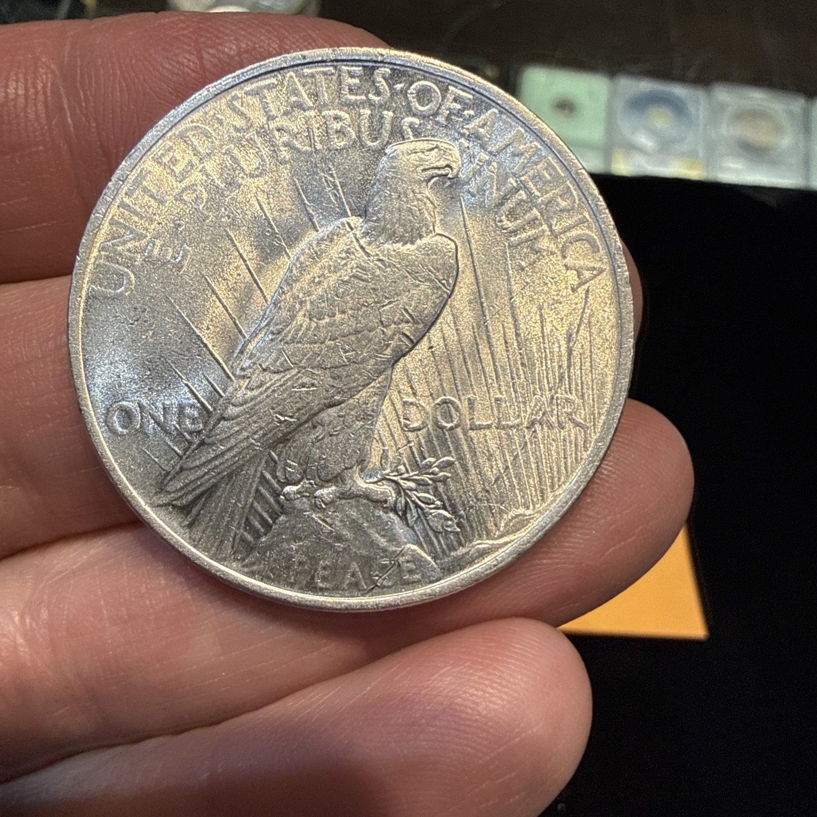 Lot Of 5 Peace Dollars