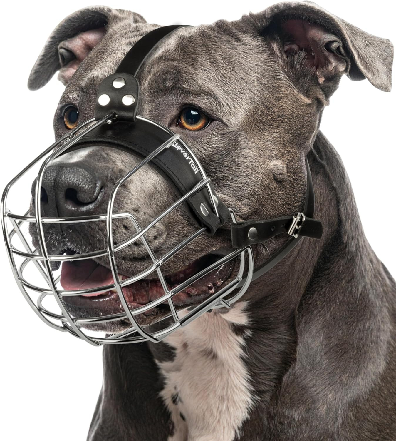 Metal Pitbull Muzzle for Large Sized Dog – Basket Muzzle for Dogs with Adjustabl