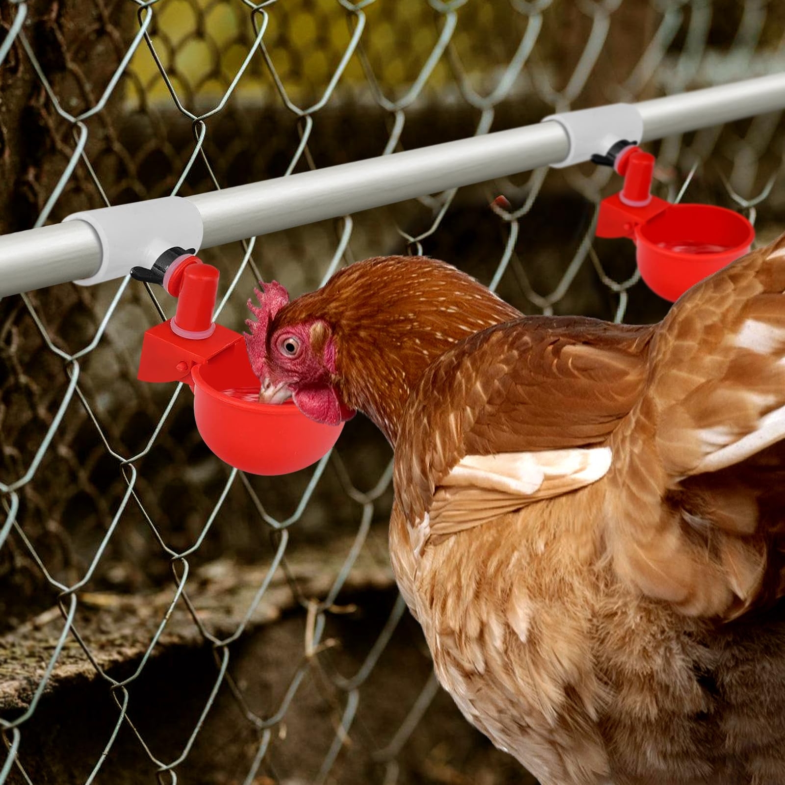 12 Pack Chicken Waterer PVC Tee Fittings - Fully Automatic for Threaded Chick...