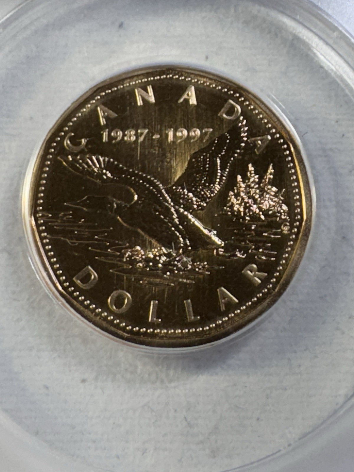 1997 Canada 10th Anniversary Proof Like Loonie Dollar Graded MS 68 by ANACS