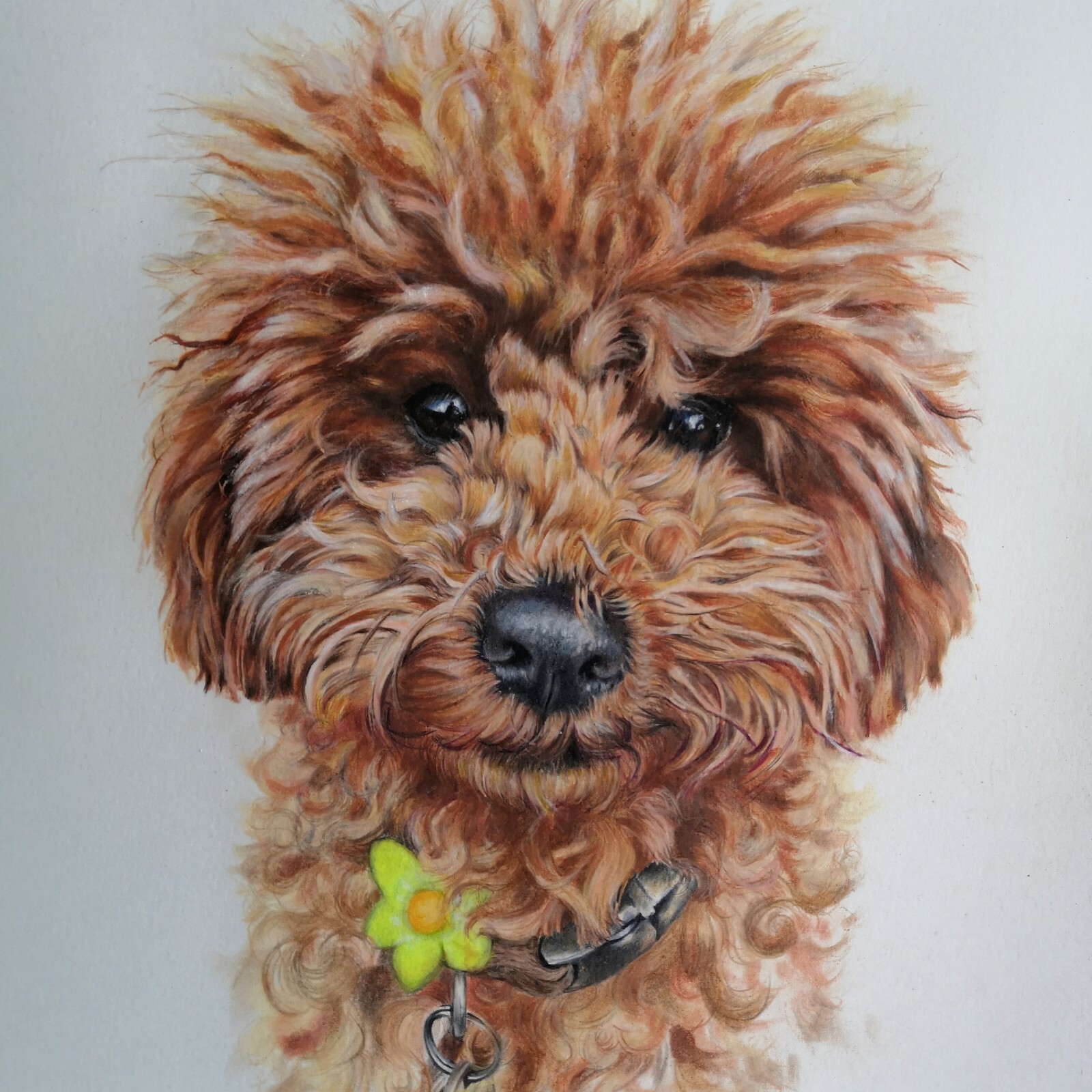Custom Portraits