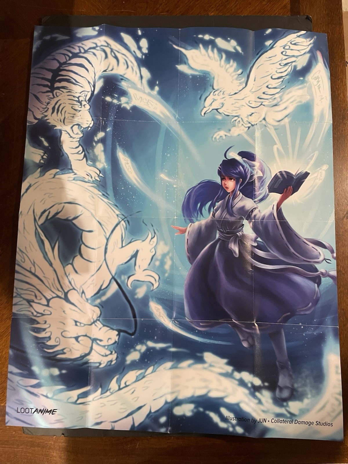 Loot Anime GODS AND SPIRITS Foldout Poster Double Sided 28”x22”