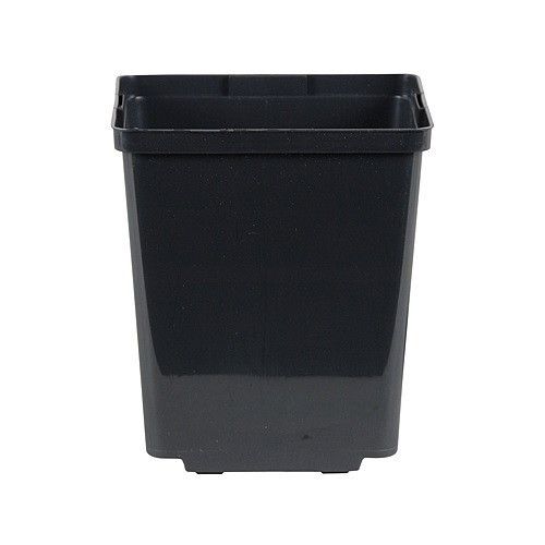 5.5" Black Square Plant Pots 10 Pack - greenhouse gardening plants hydroponics