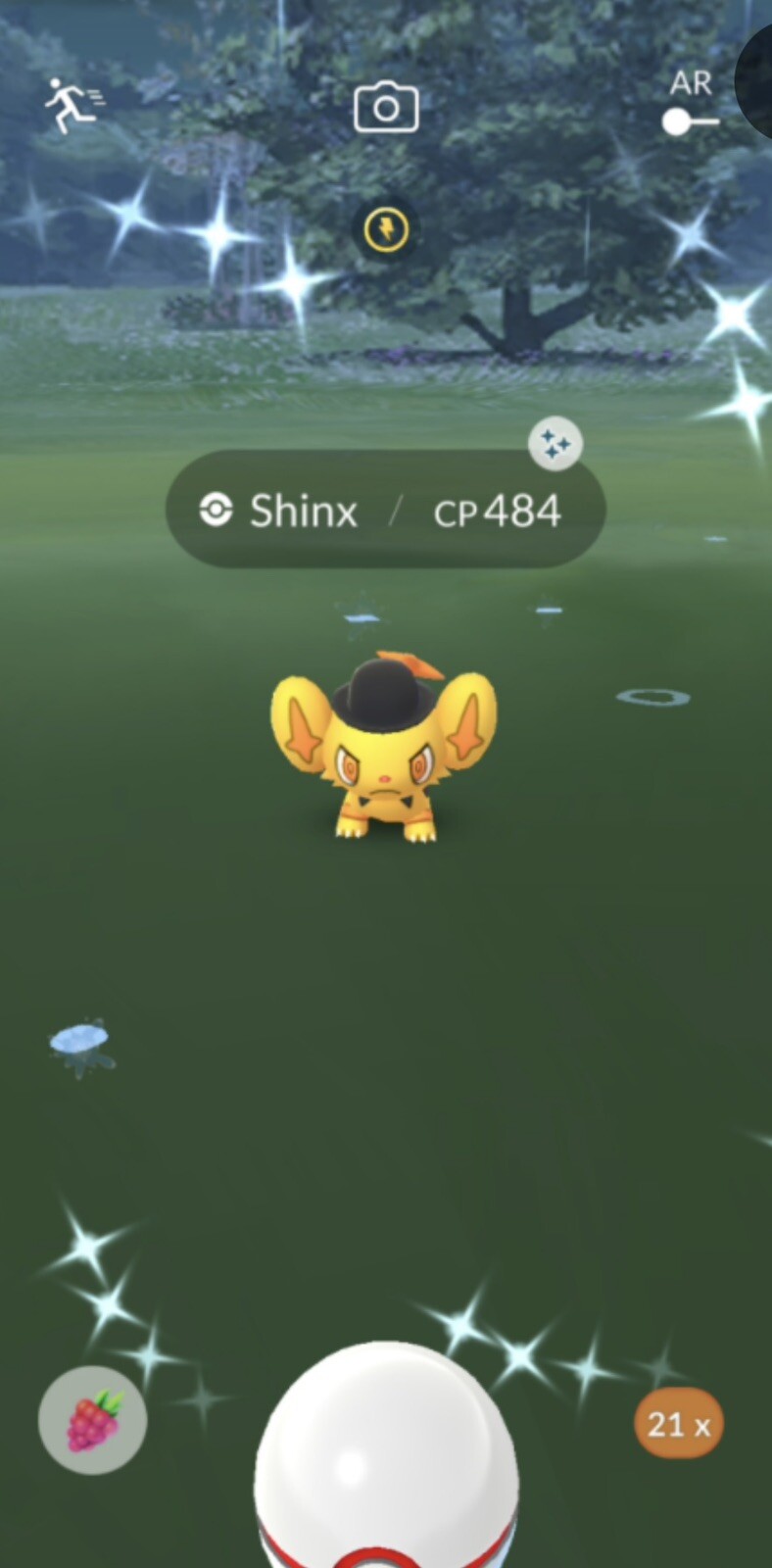 ✨ Shiny Top Hat Shinx ✨ Pokemon Go Registered Only ✅