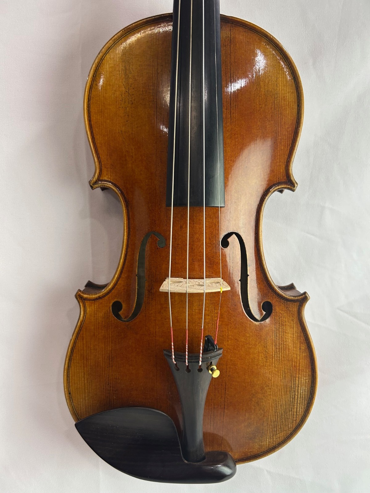 HandMade Violin Outfit 4/4 European Wood  Gagliano Luxe Oblong case GG-221