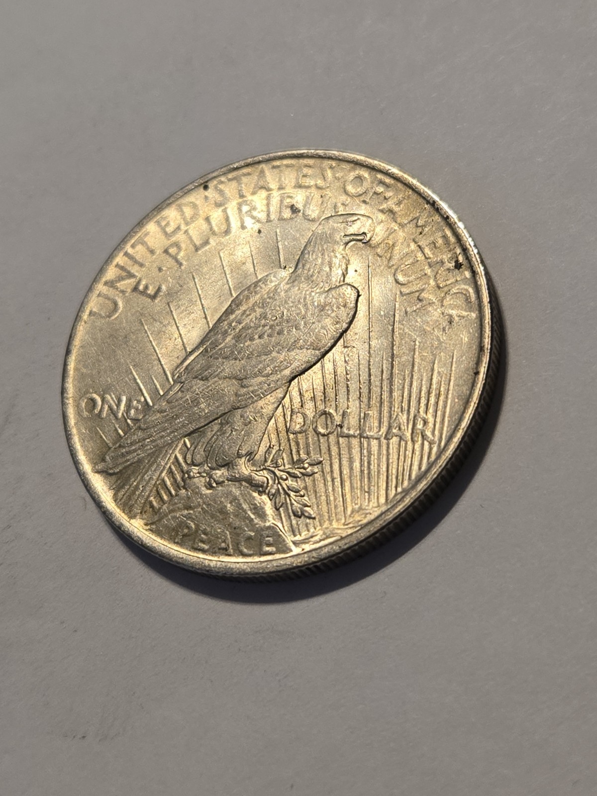 1923 Peace Dollar- 90% Silver- Nice Coin