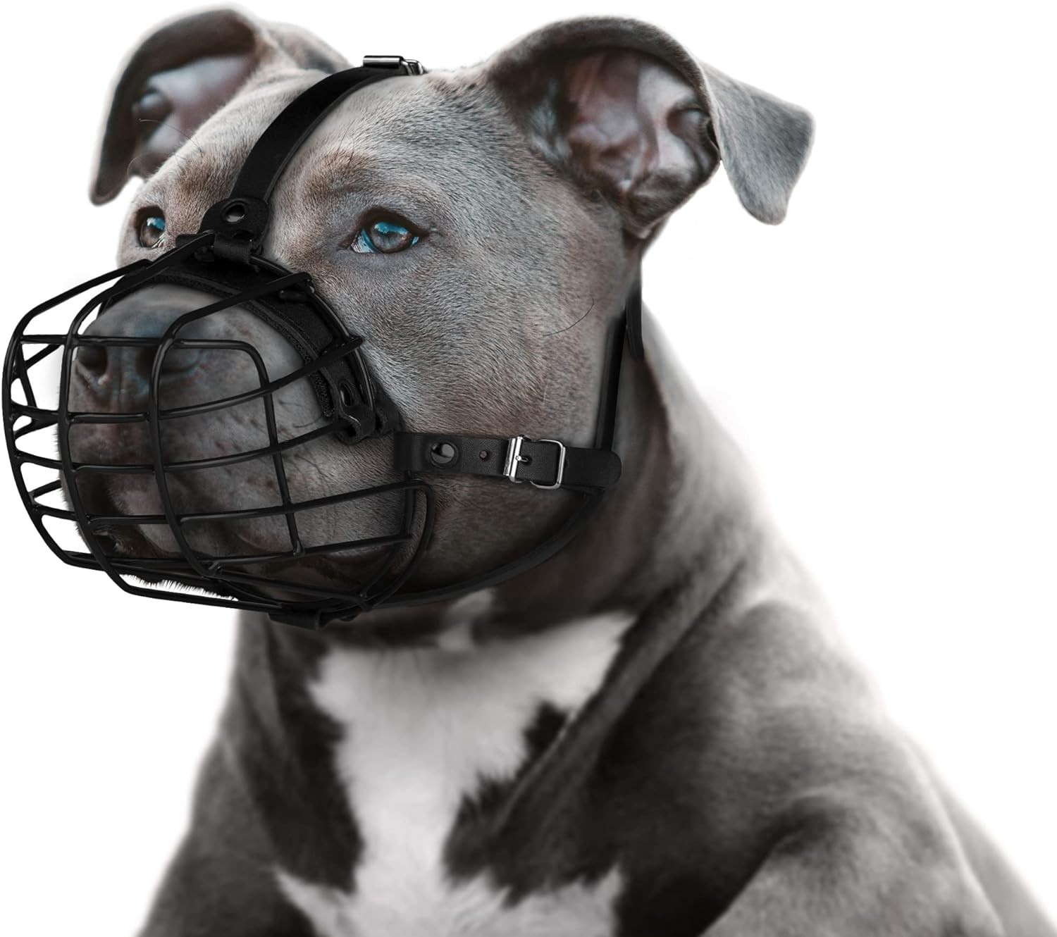 Pitbull Dog Muzzle Metal Mask Amstaff Secure Wire Basket Adjustable Durable Leat