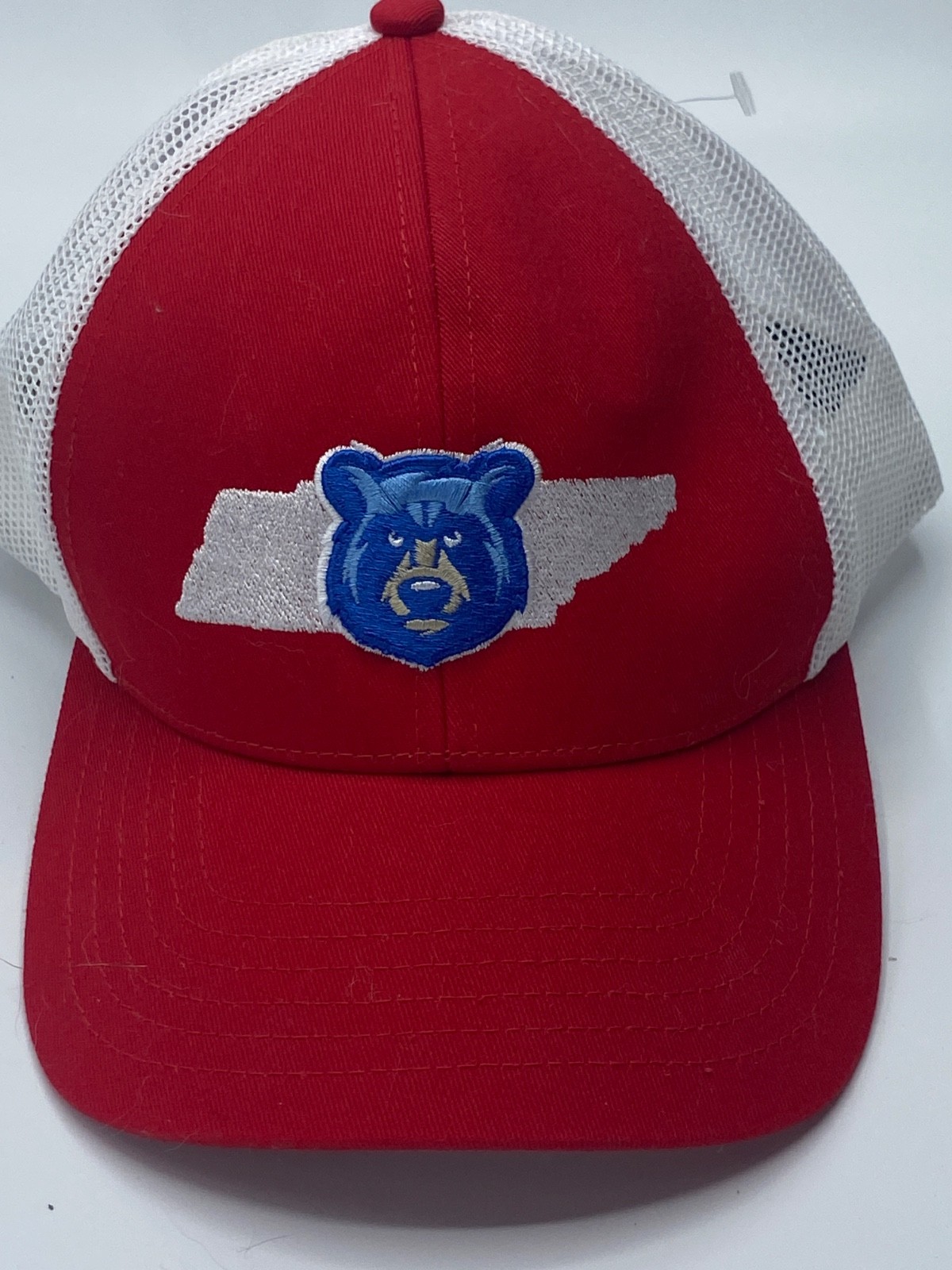MiLB Tennessee Smokies OC Men's Adjustable Mesh Bear State - Red