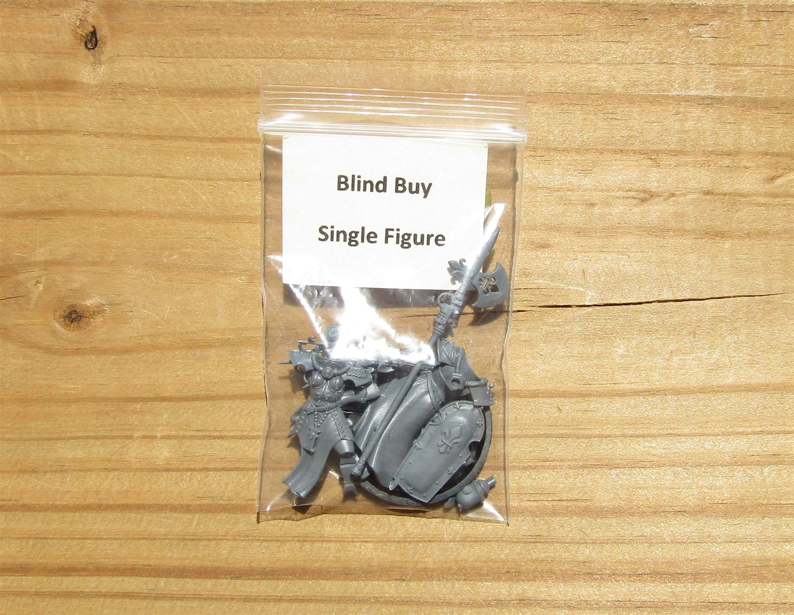 40K Sisters of Battle _Celestian Sacresant w/ Halberd Blind Buy SingleFigureBits